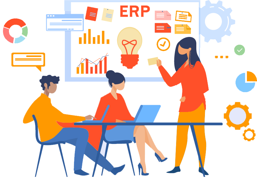 Custom ERP Solution Developments